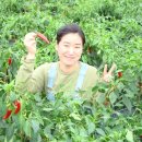 피나무골 소공원 이미지