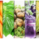 모태영농조합법인 이미지