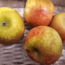 아달달농산 이미지