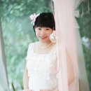 레몬트리 이미지