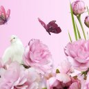 물처럼 바람처럼 이미지