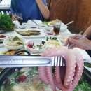 사천포장전문횟집