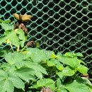 월광농원 이미지