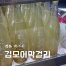 팔우정삼거리 팔각정 | 경주 여행 선물 추천 경주 깁모어막걸리 신라봉 막걸리 후기