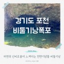 포천 한탄강 비둘기낭 폭포 주상절리 협곡 아이와 가볼만한 곳