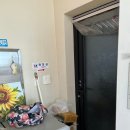 고찌올레 | 제주 서귀포 보말죽 맛집 고찌올레 내돈내산 후기 (+보말죽 택배 주문 가능)