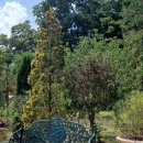 칸트하우스 이미지