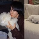 잘자