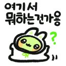 보조경기장 이미지