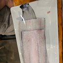 장어의 꿈 이미지