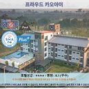 프라우드주유소 | 프라우드 카오야이 호텔 후기: 카오야이 여행, 추천 호텔은 바로 이곳!