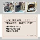 4월 공작부인(새침고양이 쪼꼬미 가방)만들기 이미지