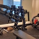 그린휘트니스 이미지