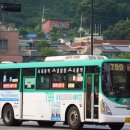 서울금화초등학교 네이버블로그