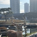 남문통닭카페