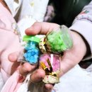 생명의 하모니 | 오송2산단맛집 스시로운에서 회전초밥 먹고 온 후기