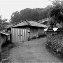주도리 Daum카페