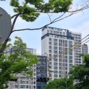 내손로~내손중앙로 이미지