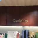 세탁백화점 | 압구정 현대백화점 명품전문세탁 '쿨화이트' | 버버리 패딩 트렌치코트 세탁후기 (feat. 무료 배송)