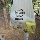봉구스밥버거김포한가람점 | 구래동 김포한가람점 봉구스밥버거, 가성비 좋은 컵밥 맛집