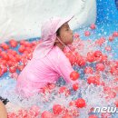 화천어린이공원4 뉴스1