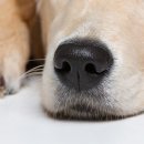 추산농장 이미지