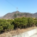 가온조경 - 유성구 유성대로642번길 45 | 가온조경