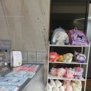 이브이모텔 | 키즈스테이호텔 인 부곡 가족탕 키즈플레이 캐리비안룸 주말 대실 무료 키즈카페 후기!