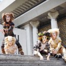 (공연) 캣츠 오리지널 내한공연3 이미지