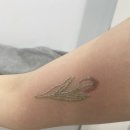 플러스후노원의원 | [내돈내산] 문신제거 1회차 후기 가격 컬러 문신