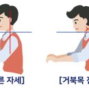 중앙동227 이미지