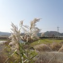 점봉산 민박 이미지