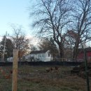 김기수농장 이미지