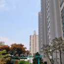 꽃뫼 | 수원시 팔달구 꽃뫼마을 현대아파트 스텐미세벌레망 설치 미세 벌레까지 완전히 차단