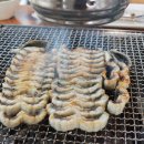 서파장어랜드 이미지