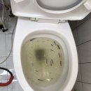 서초 크린 세탁 | 서초구 방배동 빌라 변기막힘 담배꽁초 변기탈거 제거 역류 악취 변기막혔을때
