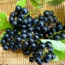 설천면110 이미지