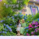 태안 팜카밀레 허브농원=1만 2천 평 수국=50만 본이 빚어내는 계절의 정원 이미지