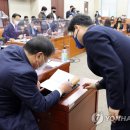 김영배 카카오 검색결과