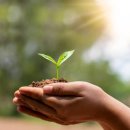 매일환경 이미지