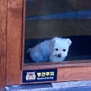 구일 이미지