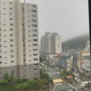 신평성심의원 이미지