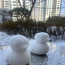 의료법인 아주효성의료재단 이미지