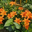 타임스테이 이미지