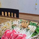 장수버섯 이미지