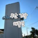 채플린 | [기장/ 채플린] 혼자서 힐링하기 기장 오션뷰 카페 채플린 솔직후기