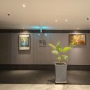 그레이195호텔 이미지