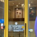 위디위키 이미지