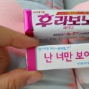 다보노 이미지