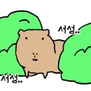 리버스의원 - 남동구 인하로 497-22 | 리버스의원
